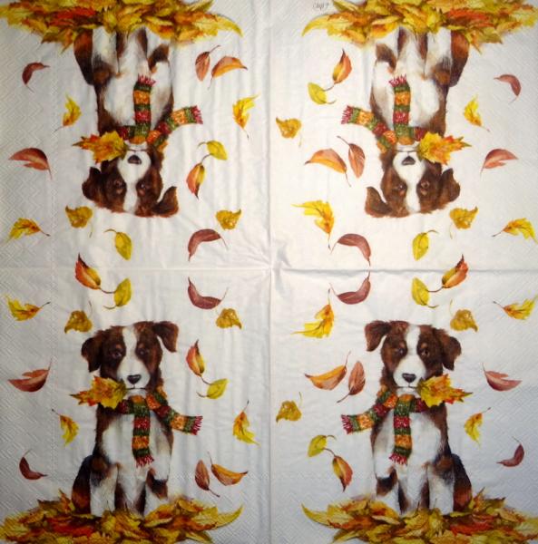 HUN-506 Dogs - 3-ply - Ihr